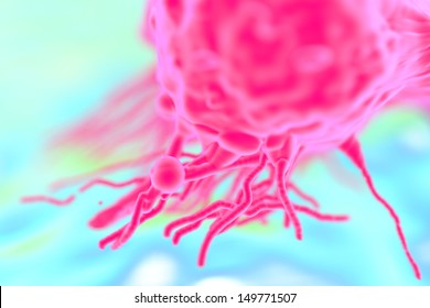 Dividing Breast Cancer Cell