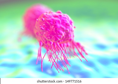 Dividing Breast Cancer Cell