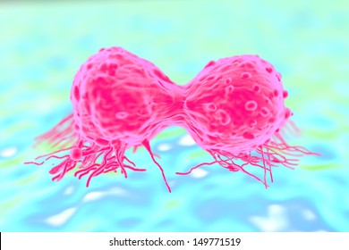 Dividing Breast Cancer Cell