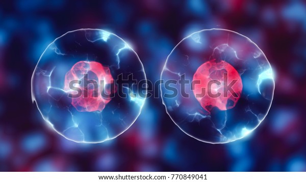 Dividing cell with nucleus in mitosis and\
multiplication of cells for beauty and\
biology
