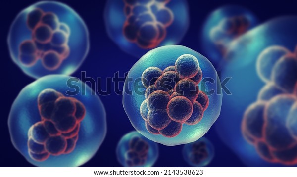 Dividing\
or multiplying cells or Mitosis 3d illustration\

