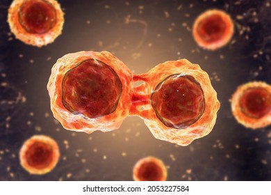 Dividing Stem Cells, 3D Illustration. Research And Scientific Background