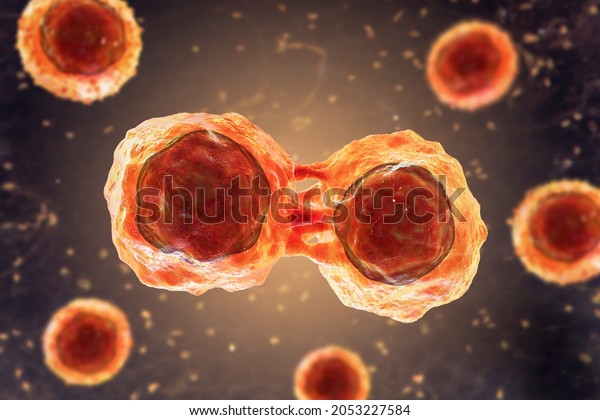 Dividing stem cells, 3D illustration. Research
and scientific
background