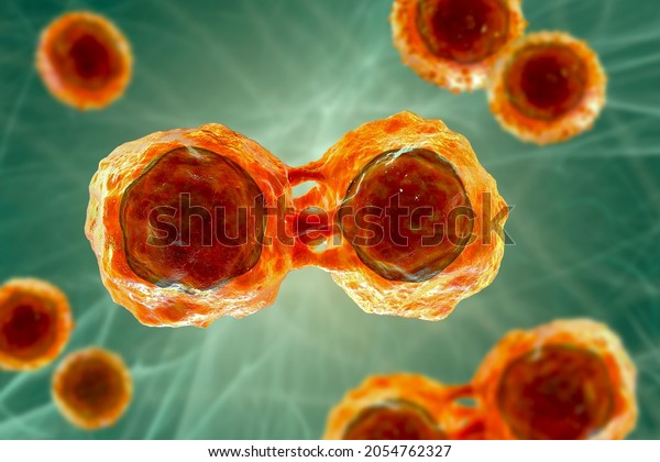 Dividing stem cells, 3D illustration. Research\
and scientific\
background
