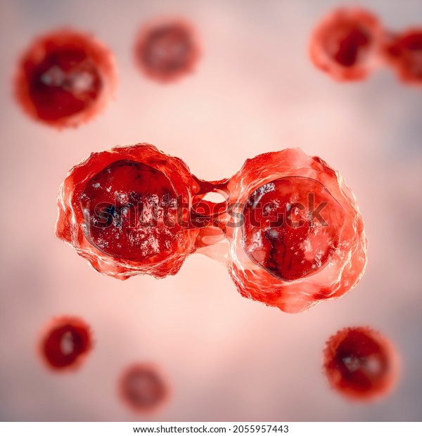Dividing stem cells, 3D illustration. Research\
and scientific\
background