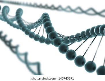 DNA. 3d model.