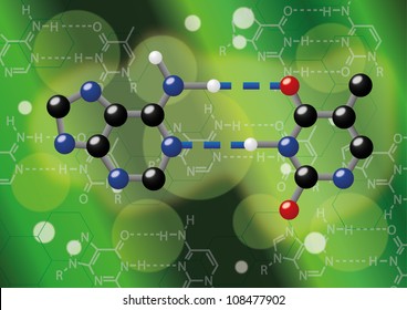 DNA Base Pair (Adenine And Thymine)