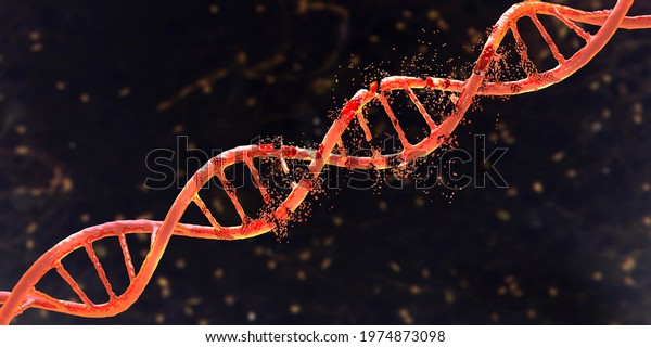 DNA
(deoxyribonucleic acid) damage, 3D illustration. Concept of
disease, genetic disorder or genetic
engineering