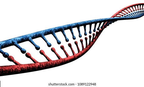 DNA, Deoxyribonucleic acid is a thread-like chain of nucleotides carrying the genetic instructions used in the growth, development, functioning and reproduction. 3d rendering