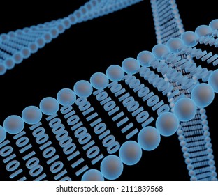 DNA Digital Data Storage Is The Process Of Encoding And Decoding Binary Data To And From Synthesized Strands Of DNA 3d Rendering