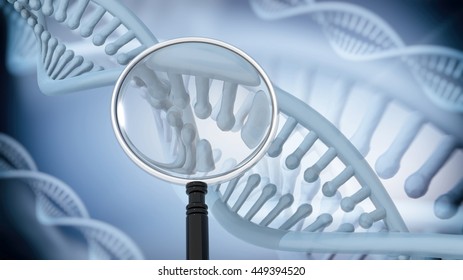 DNA Double Helix With Magnifying Glass. 3D Rendering