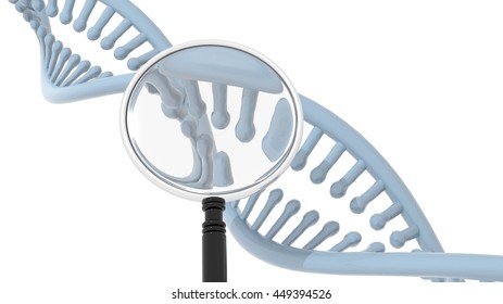 DNA Double Helix With Magnifying Glass, On White Background. 3D Rendering