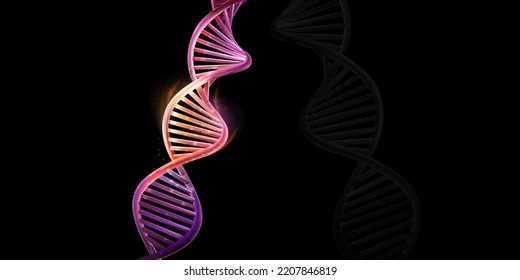 DNA Double Helix Model On A Black Background.