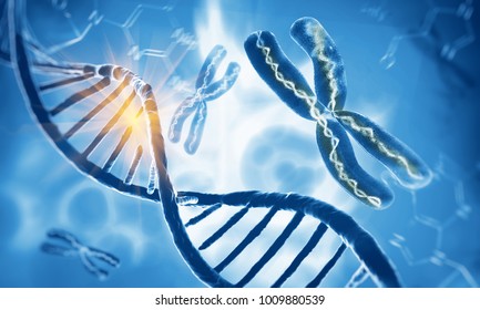 Dna double helix molecules and chromosomes, 3d illustration