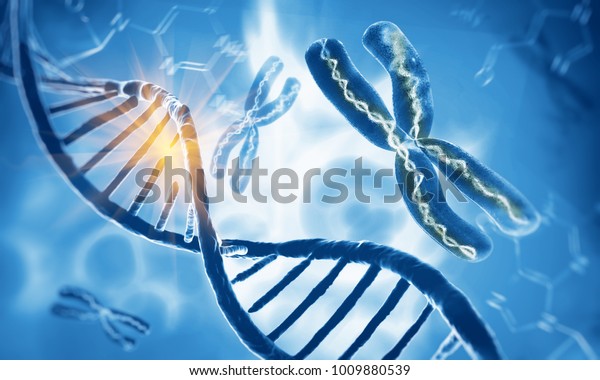 Dna double helix molecules and chromosomes,\
3d illustration