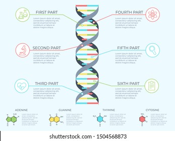 DNA Infographic. Genetic Spiral, Genomic Model Molecule Diagram And Adn Pattern Structure Chart. Medicine Molecular Rna, Chromosome Infographics Or Dna Gene Scientific  Concept Illustration