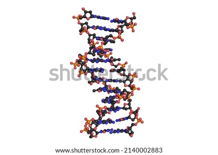 DNA molecule Deoxyribonucleic acid chemical structure rotating fragment on white background 3D Imagine de stoc © 