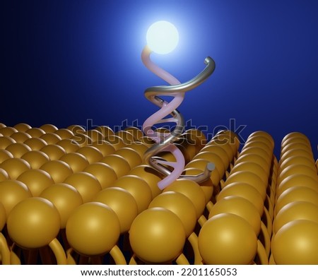 DNA nanosensor fluorescence imaging microscopy 3d rendering