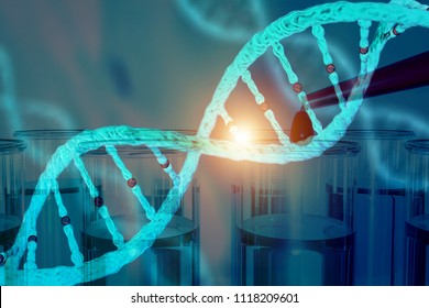 DNA Research Concept DNA Barcodes For Biomedical Research  Mitochondrial DNA 
Prostate Cancer DNA Test 3d Rendering