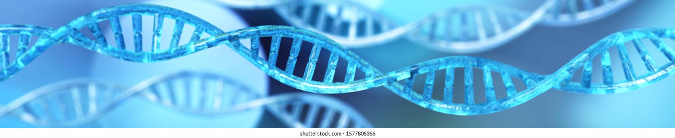 DNA, RNA Helix, Banner,
3d Rendering