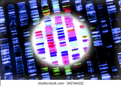 DNA Sequence