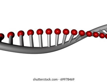 DNA Single Helix