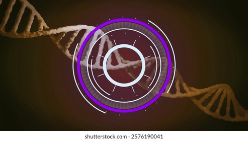 DNA strand and circular digital interface, scientific data processing image. Science, technology, genetics, biology, molecular, research