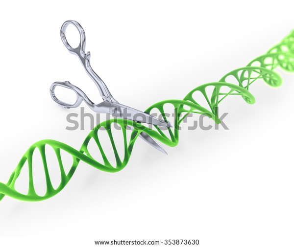 はさみで切断されたdna鎖 遺伝子編集のコンセプトイラスト のイラスト素材 353873630