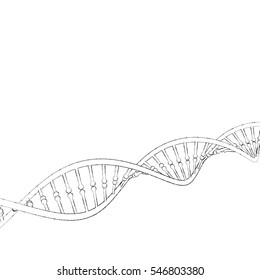 DNA Strand. Isolated On White Background. Sketch Illustration. 