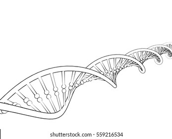 DNA Strand. Isolated On White Background. Sketch Illustration. 