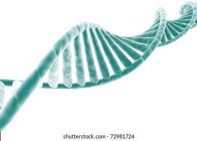 DNA Strand Isolated On White Background