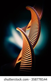 DNA structure