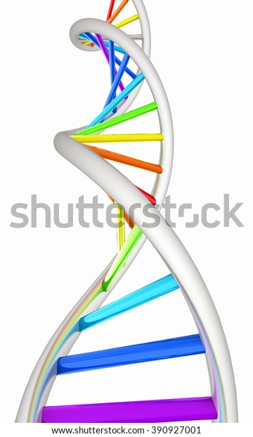 ค นหาภาพสต อก Dna Structure Model On White ระด บ Hd และภาพสต อก ภาพประกอบ และเวกเตอร ปลอดค าล ขส ทธ หลายล านรายการในคอลเลกช น Shutterstock ม ภาพใหม ค ณภาพส งหลายพ นรายการเพ มเข ามาท กว น