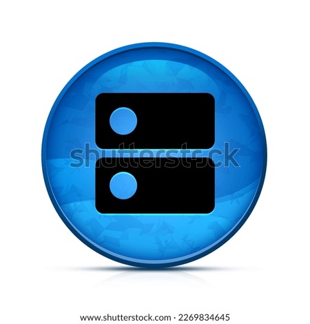 DNS icon on classy splash blue round button
