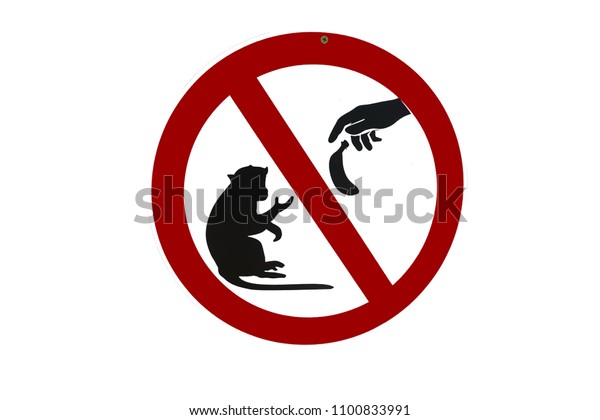 download do not feed the monkeys