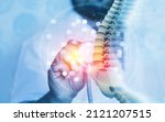 Doctor check and diagnose the human spine on blurred background. 3d illustration