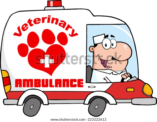 Doctor Driving Veterinary Ambulance. Raster
Illustration Isolated on
white