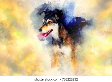 Dog And Abstract Background, Beautiful Color Spots Structure.