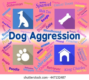 Dog Aggression Indicating Attack Assault And Threatening