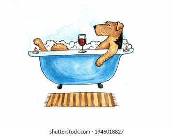 Dog Airedale Terrier Relaxing In A Buble Bath Cure Funny Watercolor Illustration With Glass Of Wine 