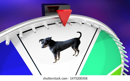 Dog Animal Pet Spinning Game Show Wheel 3d Illustration