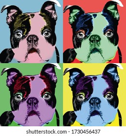 Dog art pictures, Andy Warhol, Pop art photo, Photo art, Boston terrier photo, Cartoon dog pictures, Funny dog pics, Silly dog photo, Sweet doggie photos, Doggy pics, Doggy image, Doggie pic
