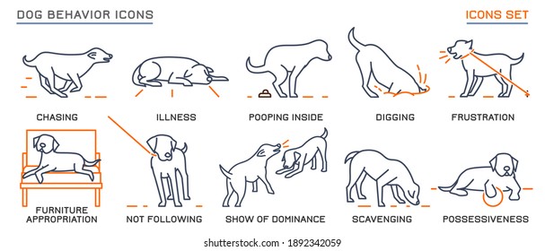 Dog behavior icons set. Domestic animal or pet language collection. No threat from my side. Happy doggy reaction. Simple icon, symbol, sign. The illustration isolated on white background