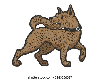 dog bites its tail color sketch engraving raster illustration. T-shirt apparel print design. Scratch board imitation. Black and white hand drawn image.