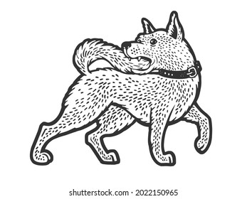 dog bites its tail sketch engraving raster illustration. T-shirt apparel print design. Scratch board imitation. Black and white hand drawn image.