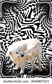 Dog biting his tail against surreal abstract black and white 3D curves.