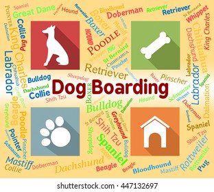 Dog Boarding Meaning Doggy Daycare And Vacation