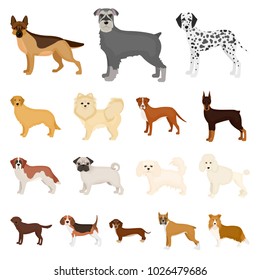 Dog Breeds Cartoon Icons Set Collection Stock Illustration 1026479686 ...