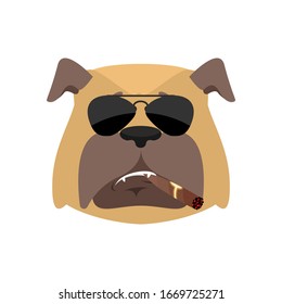 Dog Cool serious avatar of emotions. Pet smoking cigar emoji. bulldog strict.  