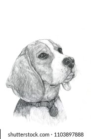 Dog Drawing Hand Drawn.dog Pen And Ink Illustration.original Drawing 